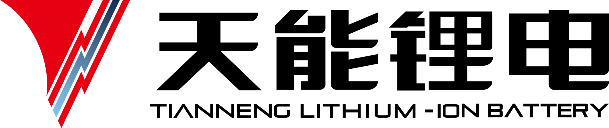 天能帅福得能源股份有限公司
